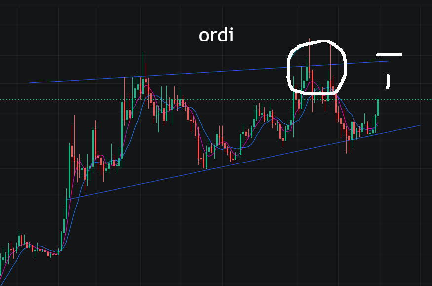 比特币4月份有望迎来“小阳春”行情？
