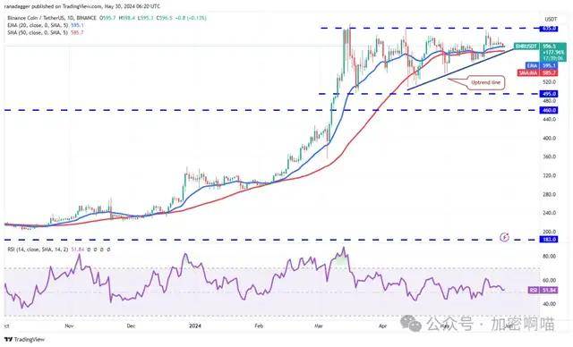 价格分析 5/30：BTC、ETH、BNB、SOL、XRP、DOGE、TON、SHIB、ADA、AVAX