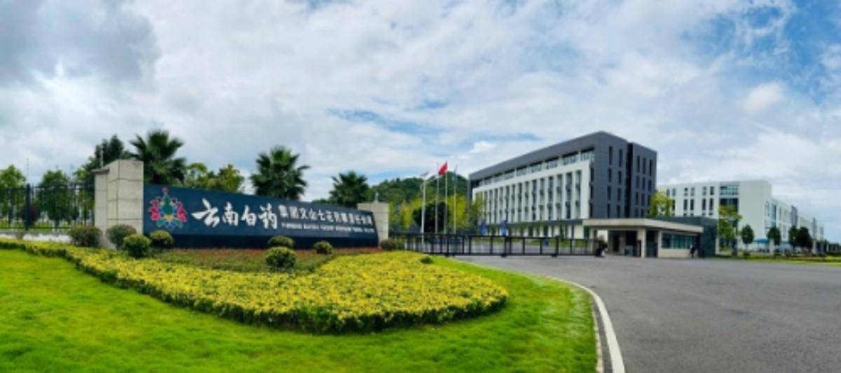 全球十大药企排名出炉：中国排名令人意外，我们的顶尖药企去哪了