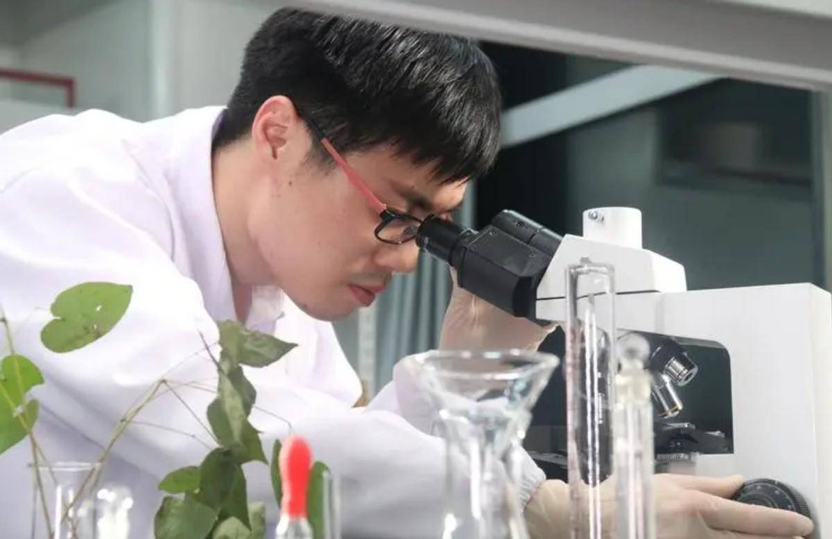 全球十大药企排名出炉：中国排名令人意外，我们的顶尖药企去哪了