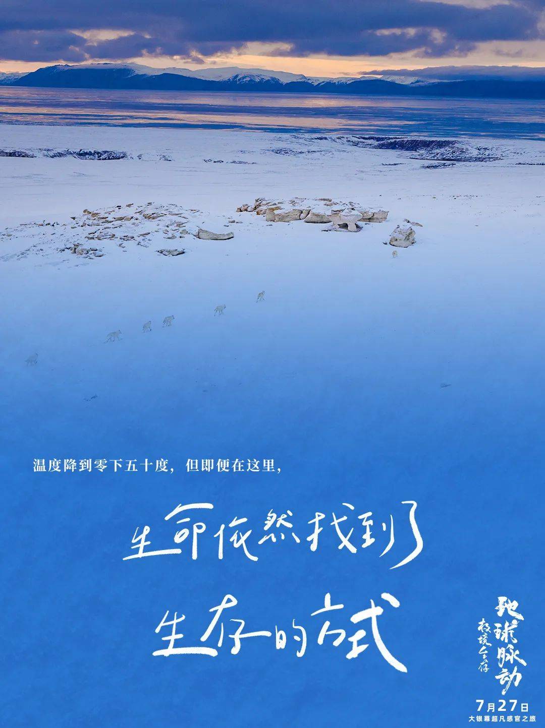 《地球脉动：极境生存》：自然视听盛宴，每一帧都美的奇观