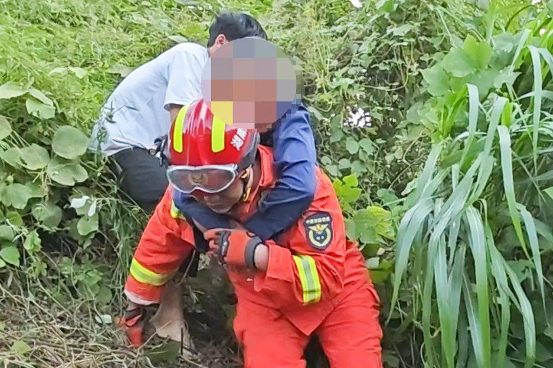 郴州800斤疯牛跑出后顶着屠宰工人一路上山又撞下山，已被击毙