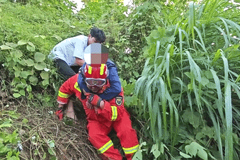 郴州800斤疯牛跑出后顶着屠宰工人一路上山又撞下山，已被击毙