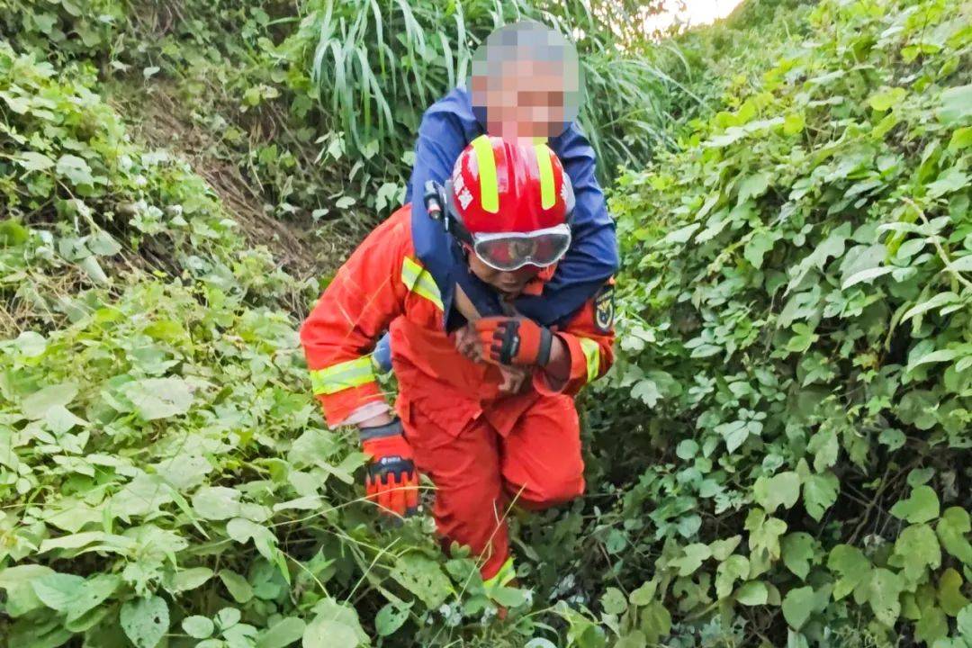 郴州800斤疯牛跑出后顶着屠宰工人一路上山又撞下山，已被击毙