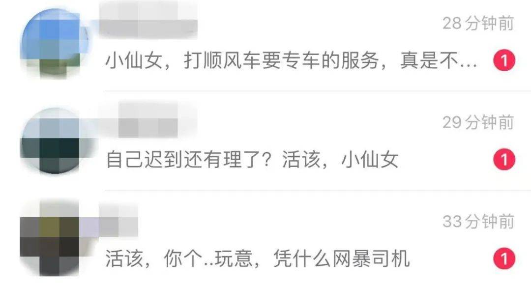 将女生赶下车的顺风车司机被行拘