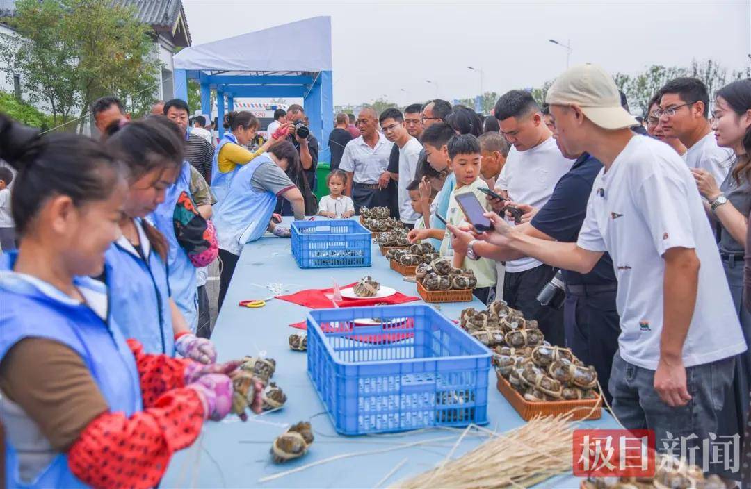 湖北一地“蟹王”“蟹后”拍出1.9万元,螃蟹专家:还不止这个价