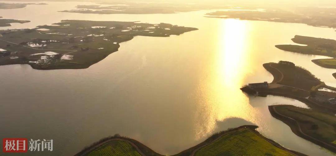 湖北一地“蟹王”“蟹后”拍出1.9万元,螃蟹专家:还不止这个价