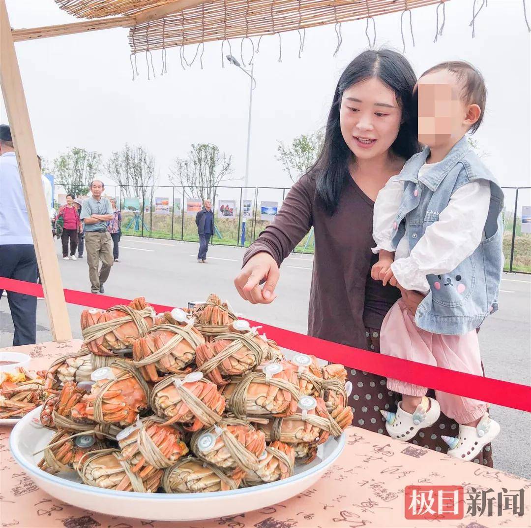 湖北一地“蟹王”“蟹后”拍出1.9万元,螃蟹专家:还不止这个价