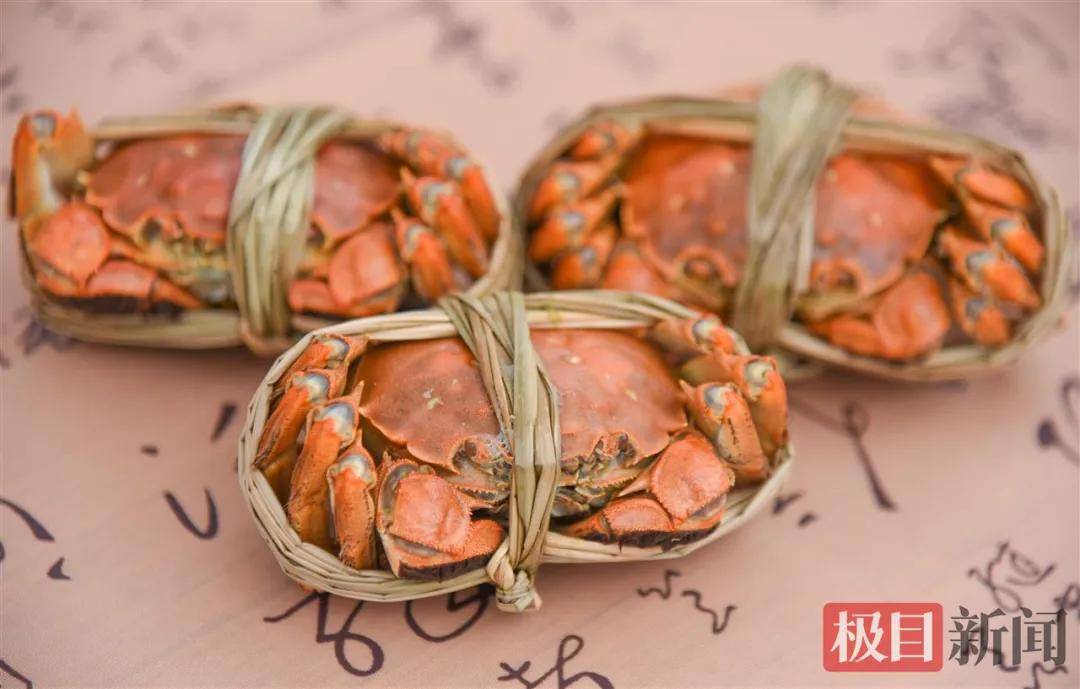 湖北一地“蟹王”“蟹后”拍出1.9万元,螃蟹专家:还不止这个价